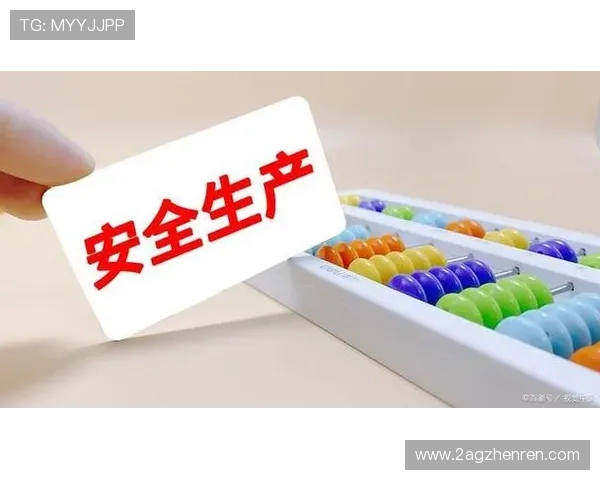 白菜竞技场团队的安全性分析与保障措施探讨